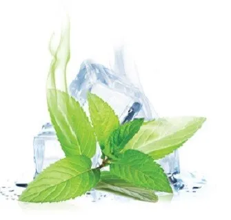 ePuff eLiquid Kit - Menthol Sensation 100 ml (70VG/30PG, 0 stk., 0 stk., 0 stk.)