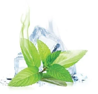 [4425] ePuff Concentrate - Menthol 10 ml.