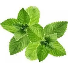 [4516] ePuff Shortfill - Mint Strong 30/ 10 ml